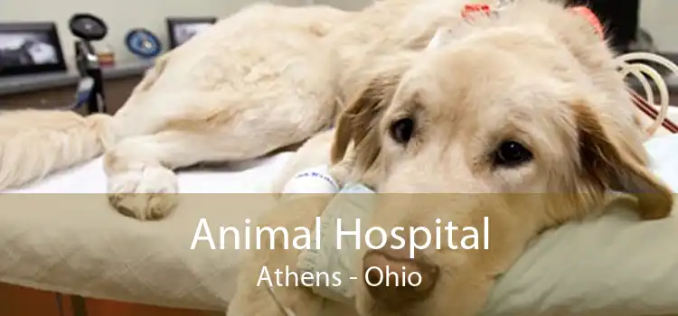 Animal Hospital Athens - Ohio