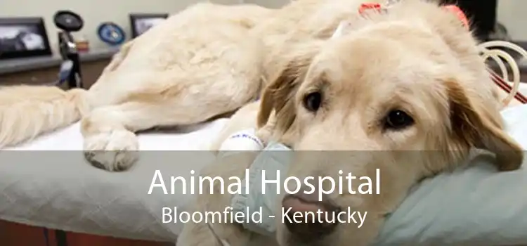 Animal Hospital Bloomfield - Kentucky