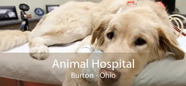 Animal Hospital Burton - Ohio