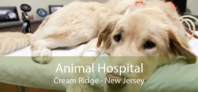 Animal Hospital Cream Ridge - New Jersey