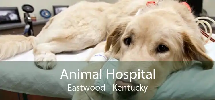 Animal Hospital Eastwood - Kentucky