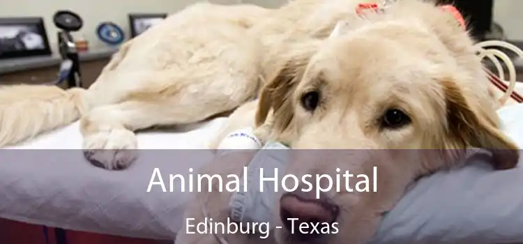 Animal Hospital Edinburg - Texas