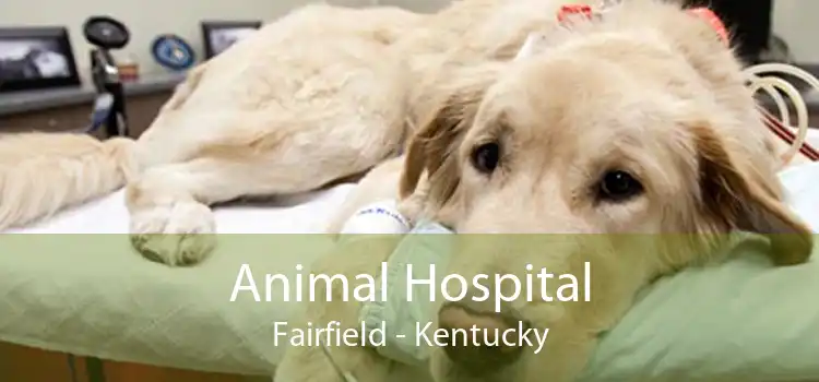 Animal Hospital Fairfield - Kentucky