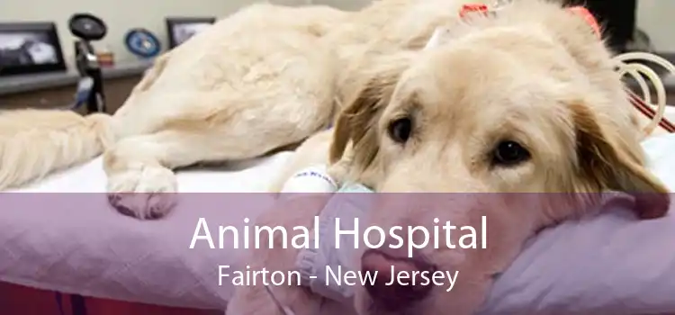 Animal Hospital Fairton - New Jersey