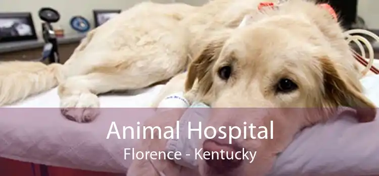 Animal Hospital Florence - Kentucky