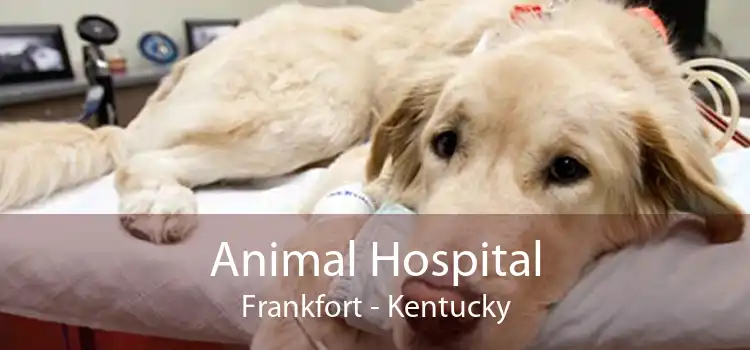 Animal Hospital Frankfort - Kentucky