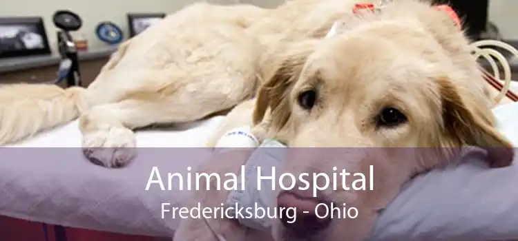 Animal Hospital Fredericksburg - Ohio