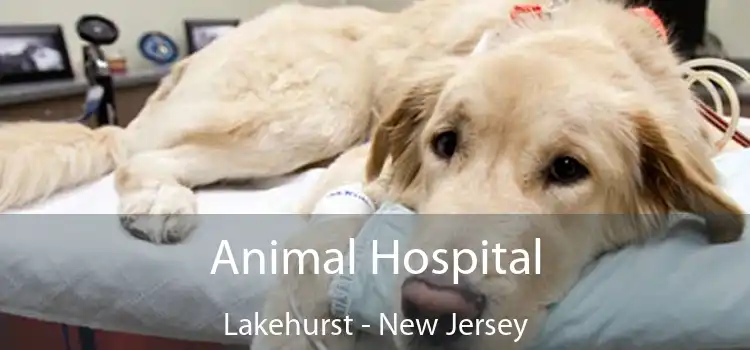 Animal Hospital Lakehurst - New Jersey