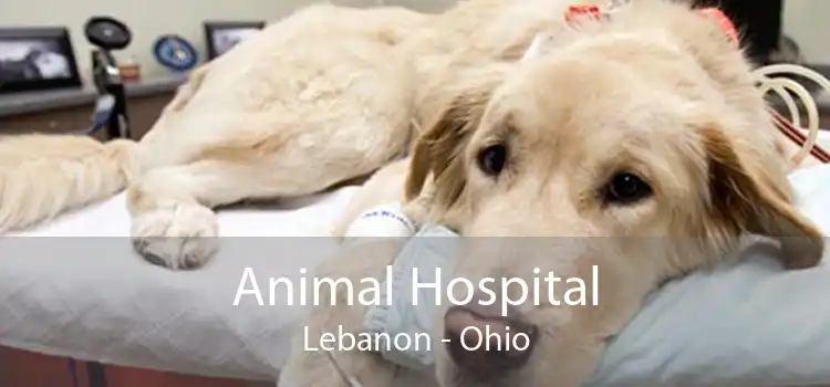Animal Hospital Lebanon - Ohio