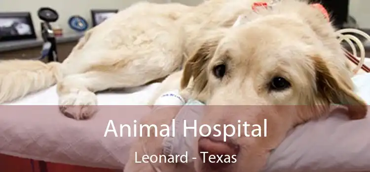 Animal Hospital Leonard - Texas