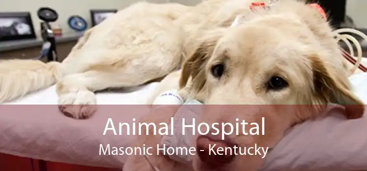 Animal Hospital Masonic Home - Kentucky