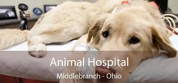 Animal Hospital Middlebranch - Ohio