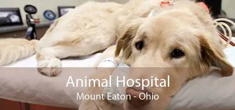 Animal Hospital Mount Eaton - Ohio