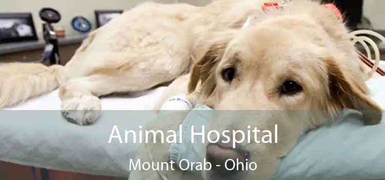 Animal Hospital Mount Orab - Ohio