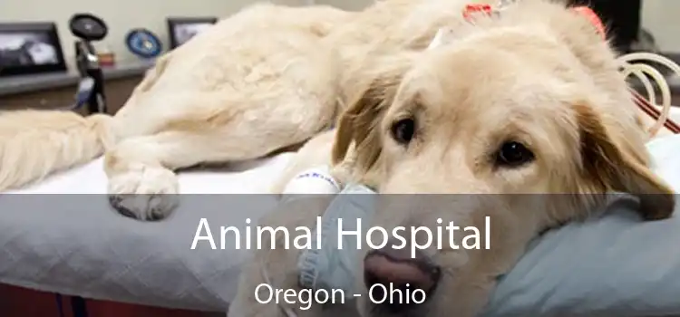 Animal Hospital Oregon - Ohio