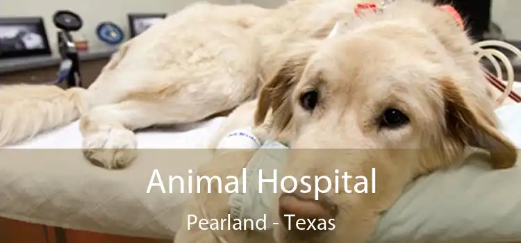 Animal Hospital Pearland - Texas