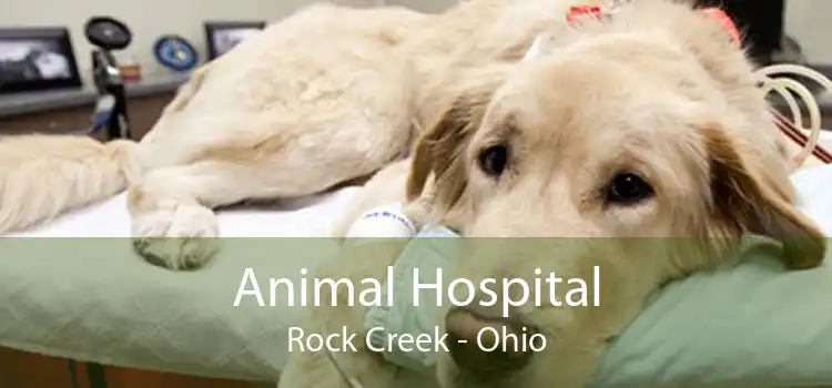 Animal Hospital Rock Creek - Ohio
