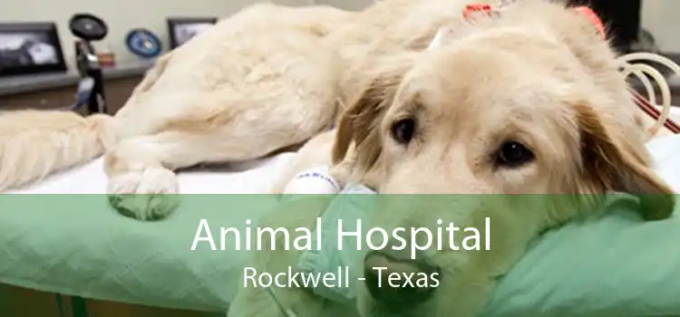 Animal Hospital Rockwell - Texas
