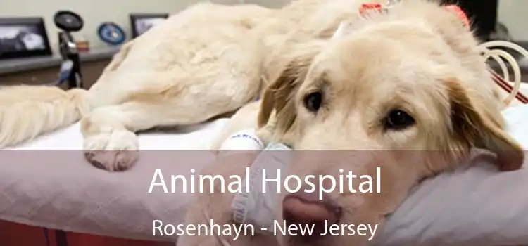 Animal Hospital Rosenhayn - New Jersey