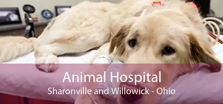 Animal Hospital Sharonville and Willowick - Ohio