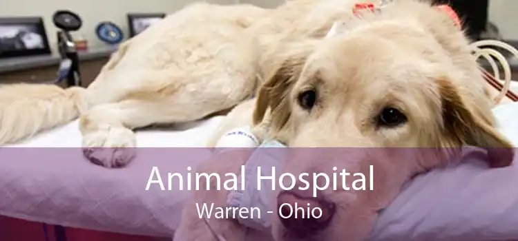 Animal Hospital Warren - Small, Affordable, And Emergency Animal Hospital