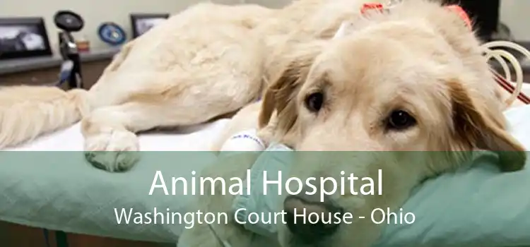 Animal Hospital Washington Court House - Ohio