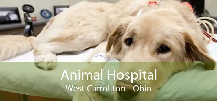 Animal Hospital West Carrollton - Ohio