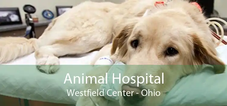 Animal Hospital Westfield Center - Ohio