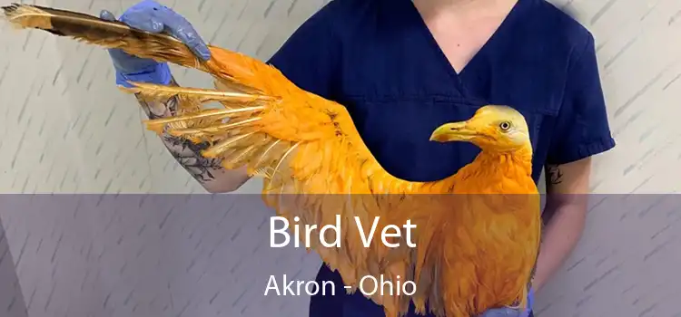 Bird Vet Akron - Ohio