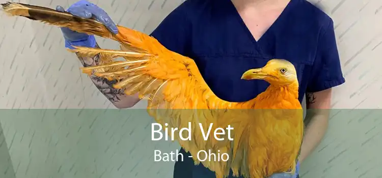 Bird Vet Bath - Ohio