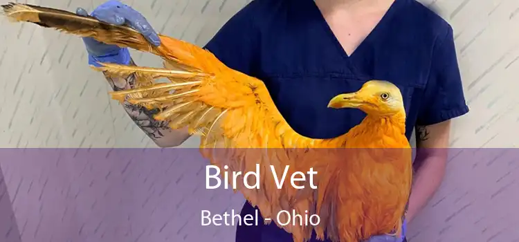 Bird Vet Bethel - Ohio