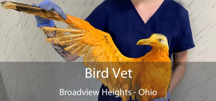 Bird Vet Broadview Heights - Ohio