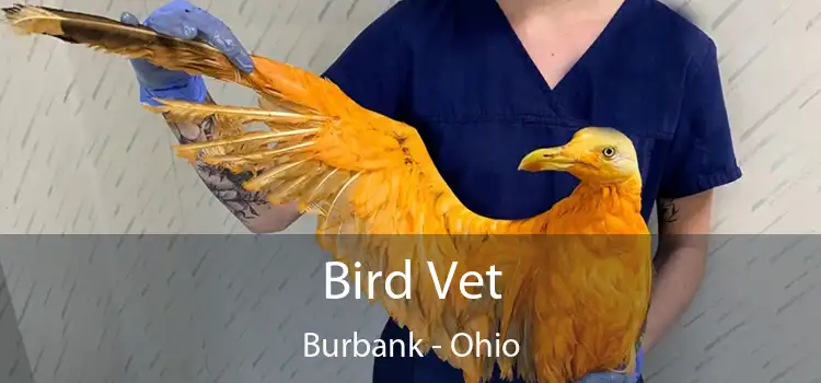 Bird Vet Burbank - Ohio