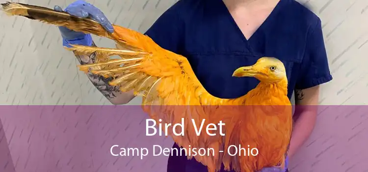 Bird Vet Camp Dennison - Ohio