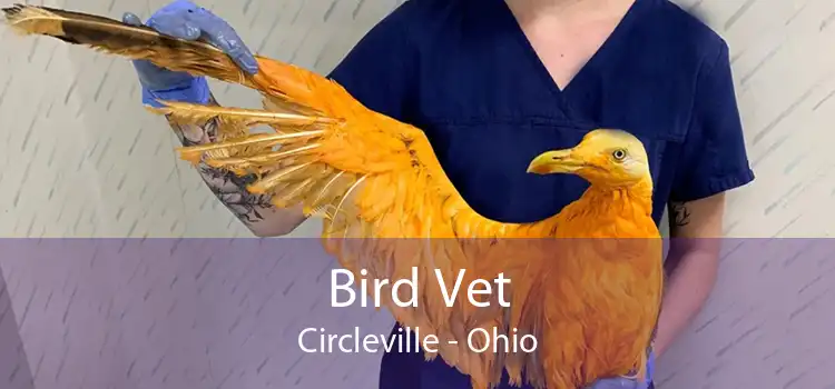 Bird Vet Circleville - Emergency Exotic Avian Vet Near Me