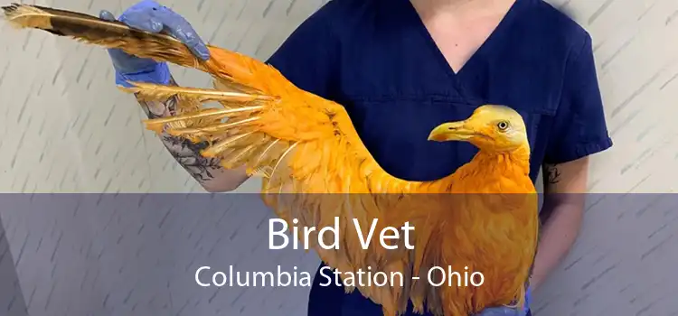 Bird Vet Columbia Station - Ohio