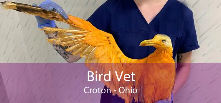 Bird Vet Croton - Ohio