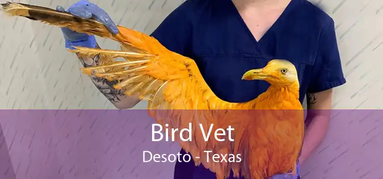 Bird Vet Desoto - Texas