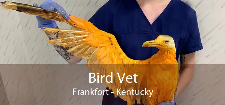 Bird Vet Frankfort - Emergency Exotic Avian Vet Near Me