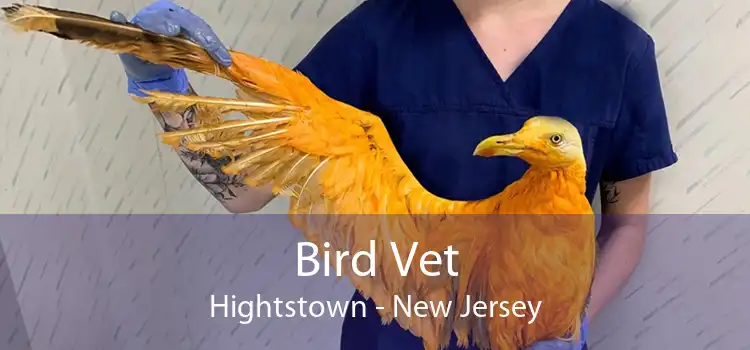 Bird Vet Hightstown - New Jersey
