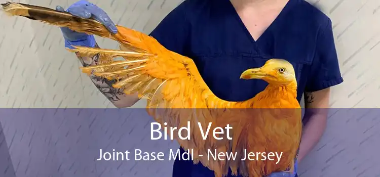 Bird Vet Joint Base Mdl - New Jersey