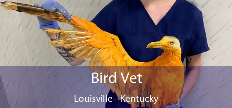 Bird Vet Louisville - Kentucky