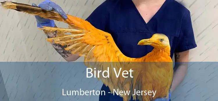 Bird Vet Lumberton - New Jersey