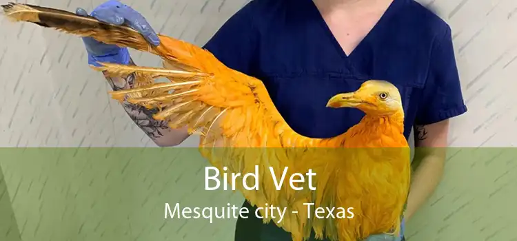 Bird Vet Mesquite city - Texas