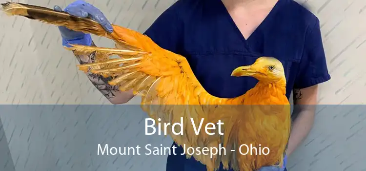 Bird Vet Mount Saint Joseph - Ohio