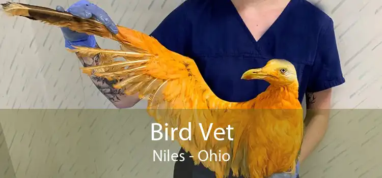 Bird Vet Niles - Ohio