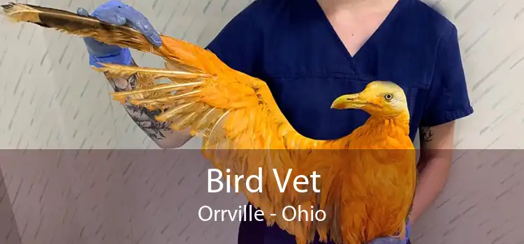 Bird Vet Orrville - Ohio