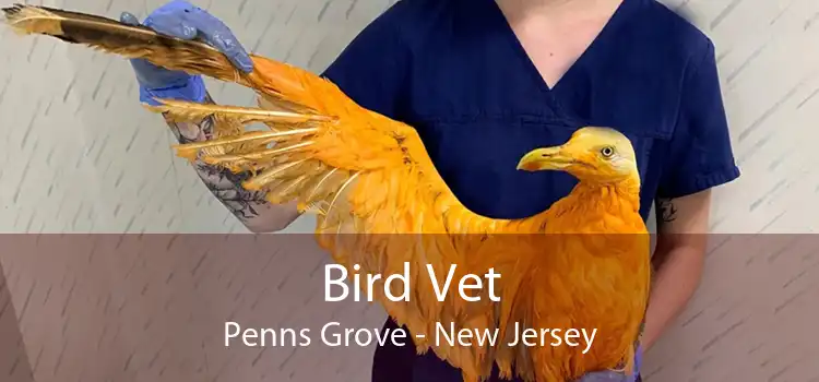 Bird Vet Penns Grove - New Jersey