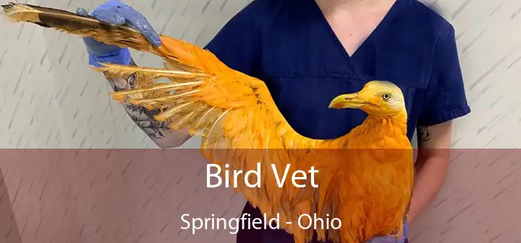 Bird Vet Springfield - Ohio