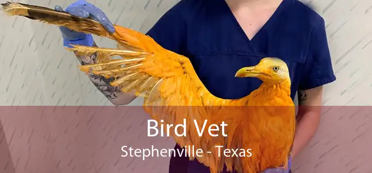 Bird Vet Stephenville - Texas